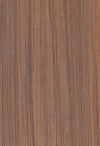 943w foresta di notte.jpg
